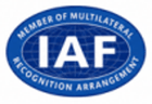 IAF badge